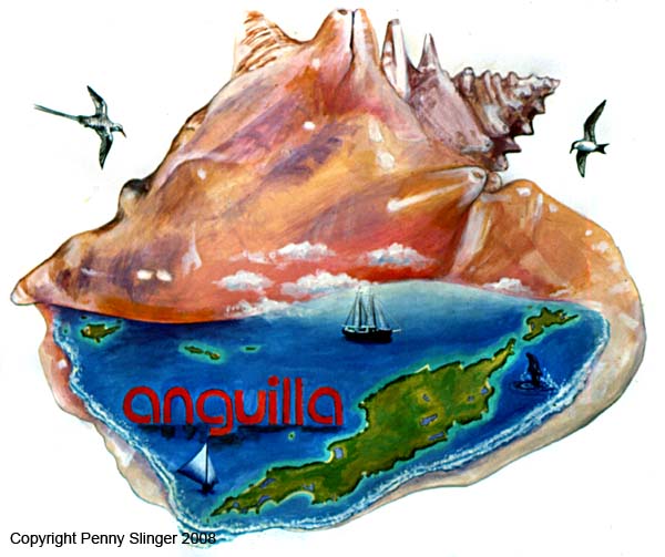 Anguilla shell